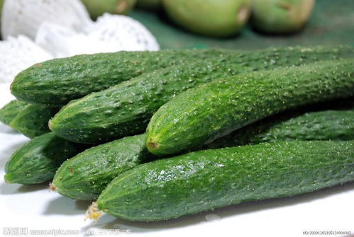 一、 黄瓜属性及其对人体脾胃功能的潜在影响