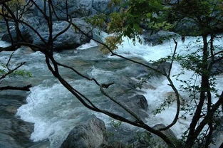 一、  天文历法与星象运行：龙抬头之科学依据与文化隐喻