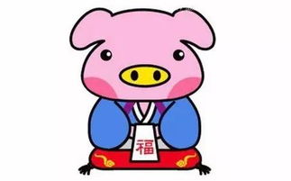 属猪人12月7日运势和12月13-17号运势分别是什么？