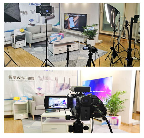 1.1 煞气传递机制的名词化阐释