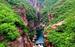 旅游陷阱：热门景点的流水线噩梦