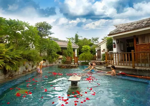 【生肖禁忌】属鸡的千万别做这件事！！！