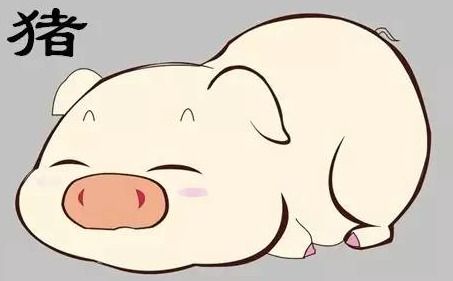 2. 做最真实的猪猪