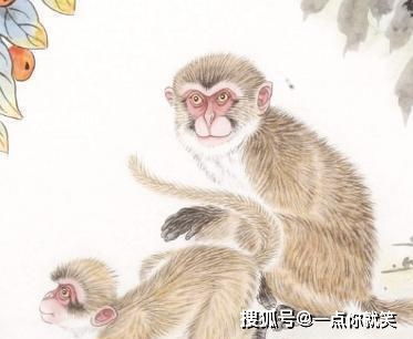 属猴者：积极向上、 福泽较深厚，为家族带来连绵不断良好运势势头良良好
