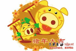 #随机组合实验室# 拼接法则：