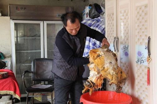 2026年装修大忌？属马人必看的玄学指南