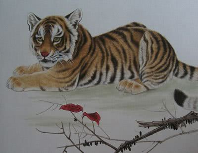 属虎26年犯太岁，那属虎的人在这一年运气如何？