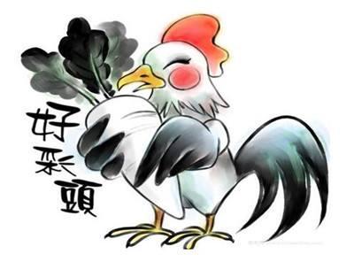 三、 属兔者（生于公历1975年）在鸡年冲太岁的特殊处境