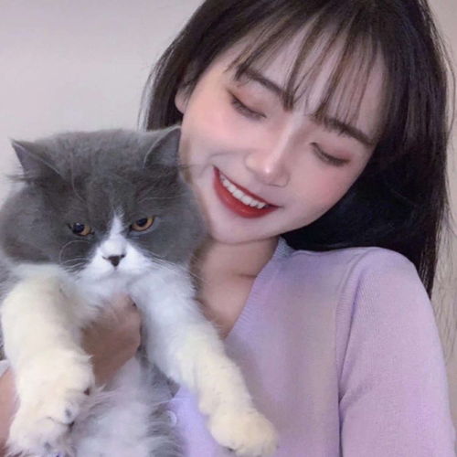 一、  鼠年的灵动与智慧