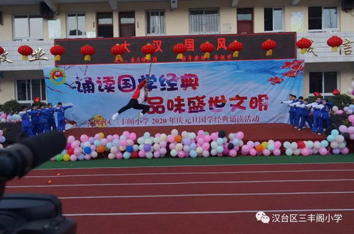 特色活动的多元呈现