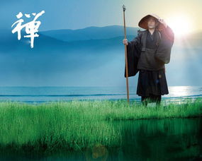 第六阶段：冥想——探究自我核心， 实现生命本质洞察