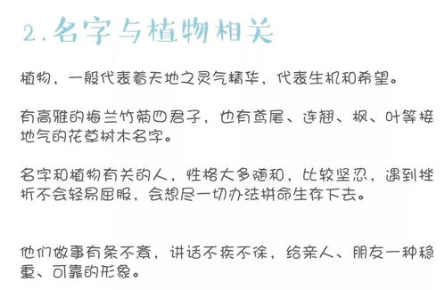 五行生克的一锅粥