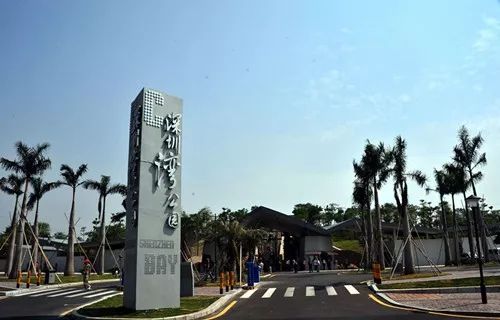 深圳湾公园 - 人比鱼还多！