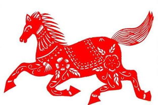 属马人的性格特点：风风火火又有点儿犟