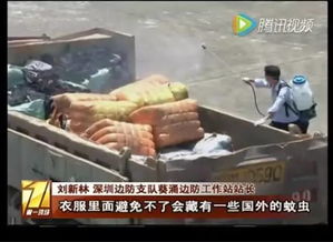 三、生肖星座与性格特质对灵异事件的影响（理论探讨）