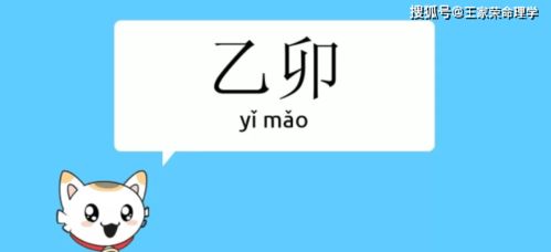 一、 乙卯日柱基本特征及其理论阐释