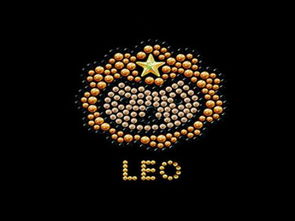 送狮子座男生什么礼物比较好呢？