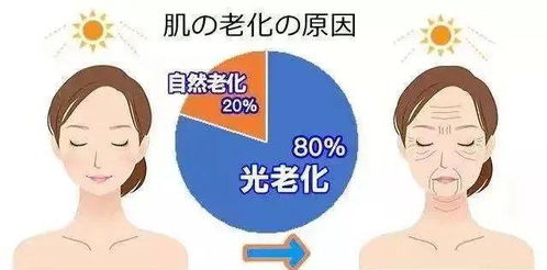 四、 避免光照引起之“光衰老”
