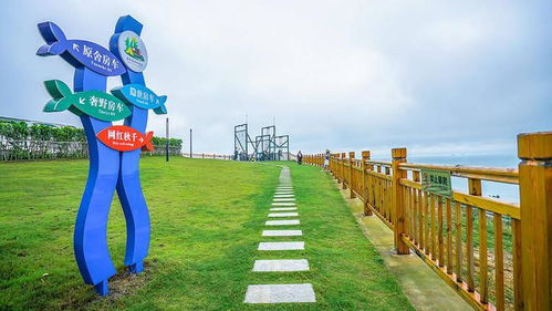 十二生肖专属韭菜田