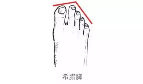 蹑手蹑脚指的是哪个生肖？这个生肖的含义是什么？