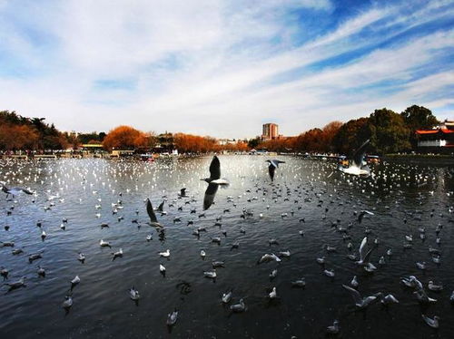 昆明到底是啥？先说一堆乱七八糟的