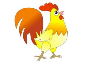 属鸡人最忌配什么生肖，属鸡男士最忌配偶是哪类生肖？