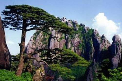 景点推荐：花钱找罪受的大合集