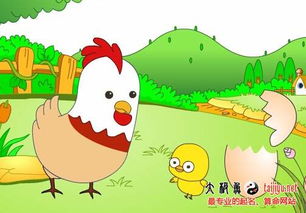 六、常见错误警示（乱写版）