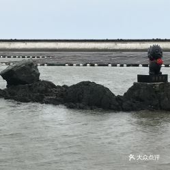 平岛：不是“网红”，是“老熟人”的海岛日记