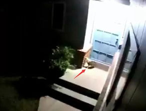 序言：一隅禁地， 生肖宿命与风水谶语