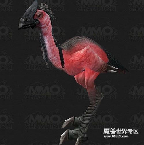 不按常理出牌：那些让人眼前一亮的奇葩名字