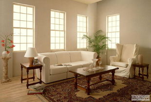 三、真实案例？编的！