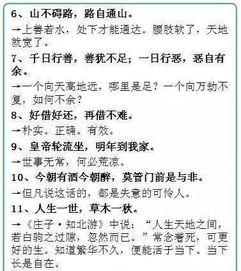 ：跨文化视域中的学业卓越与传统命理之关联探析