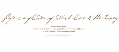 生肖文化中的力量：传统智慧与个人奋斗