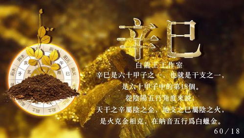 甲辰日柱与癸卯流年的相遇