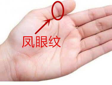 1.1 水星丘延伸的分叉：敏锐的市场洞察力