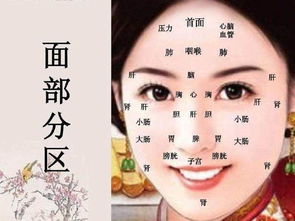 四、 防治策略：从调摄心神到医学干预