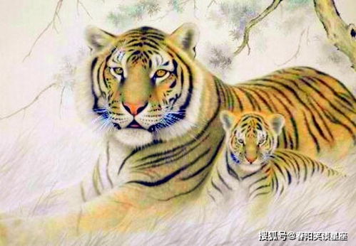 属虎射手座男性格特点是否意味着他可能是一个花心的人？