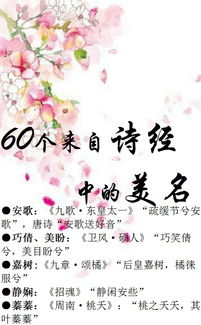 徐子衿：青青子衿的故事