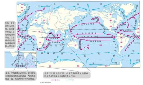 生理因素在愤怒反应中的作用
