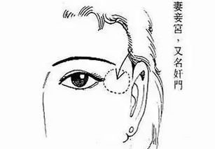 3. 眼睛下方（泪堂/子女宫）有痣的双重影响