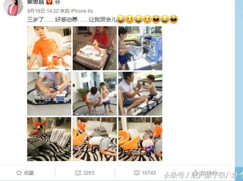 其他较高颜值组合的案例探讨