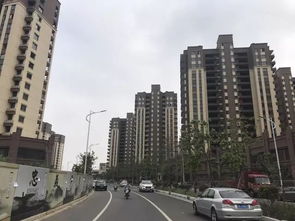 3. 高新区（新市区）：现代化进程中的气运聚集之地