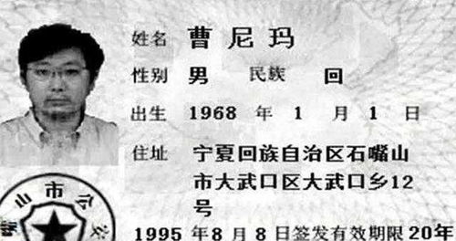 1.1 音字游戏——把“旺”搬进名字里！