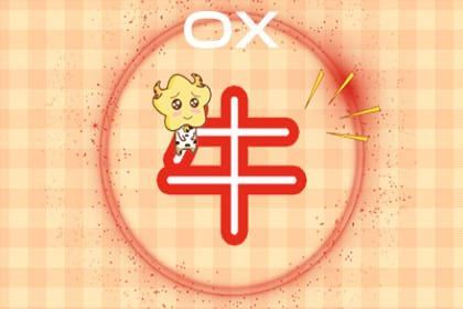 2026年属牛人每月运势及运程书具体内容是什么？