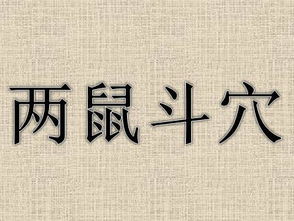 将两鼠斗穴打一生肖为生肖，长尾是：两鼠斗穴嫩打出生肖中的哪一个？