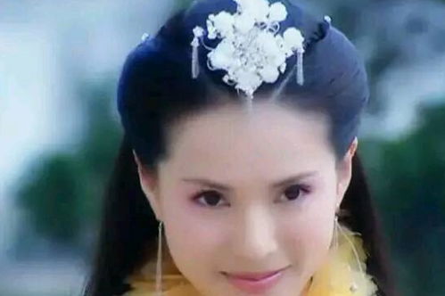 属猪五年运势和六年运势分别是什么？