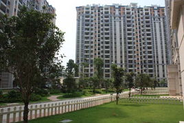 三、  建筑形态与空间布局：对称美学与五行生克的运用