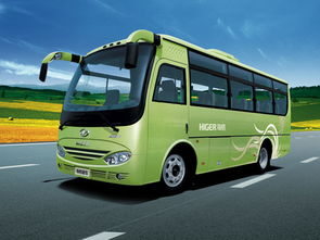 网友们怎么说众说纷纭