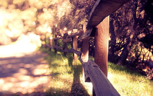 三、 具体属相案例分析及其对应风水策略